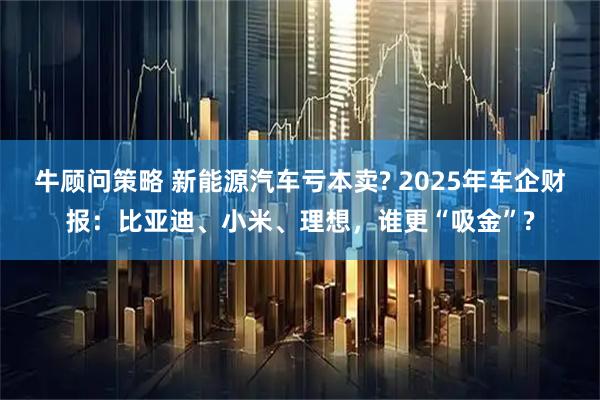 牛顾问策略 新能源汽车亏本卖? 2025年车企财报：比亚迪、小米、理想，谁更“吸金”?